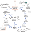 Figure 22