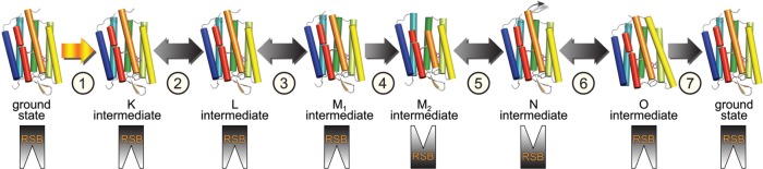 Figure 14