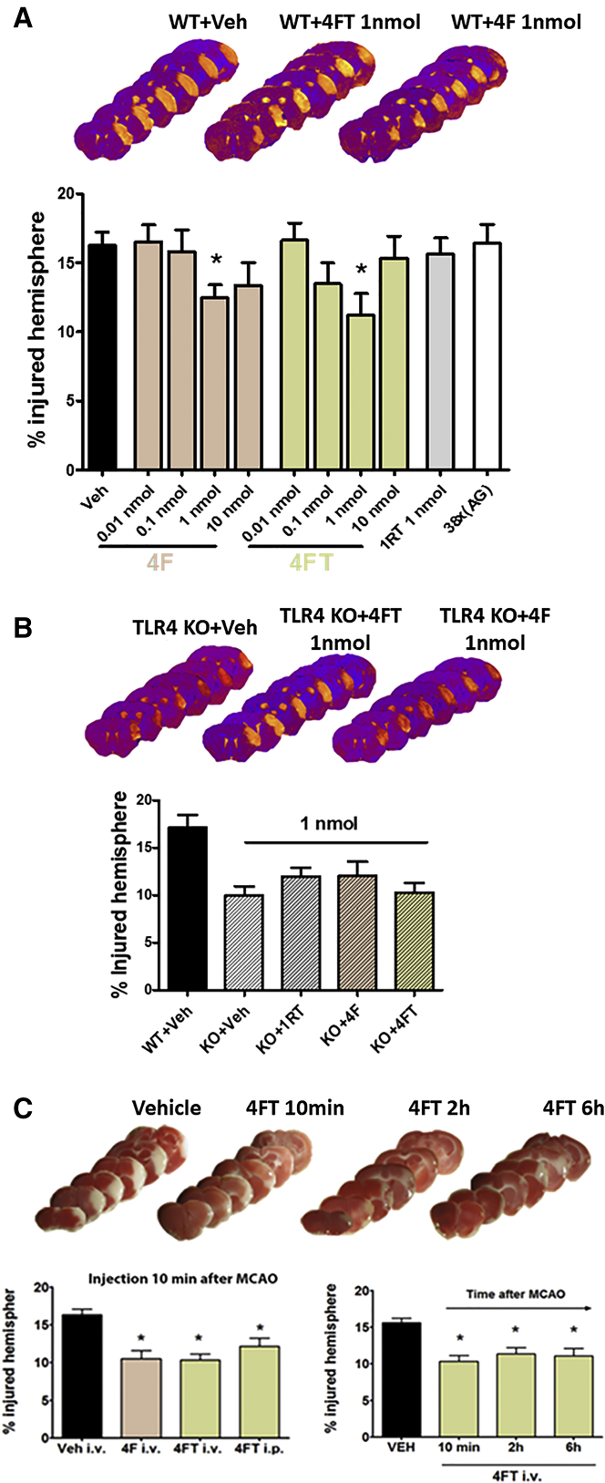 Figure 4