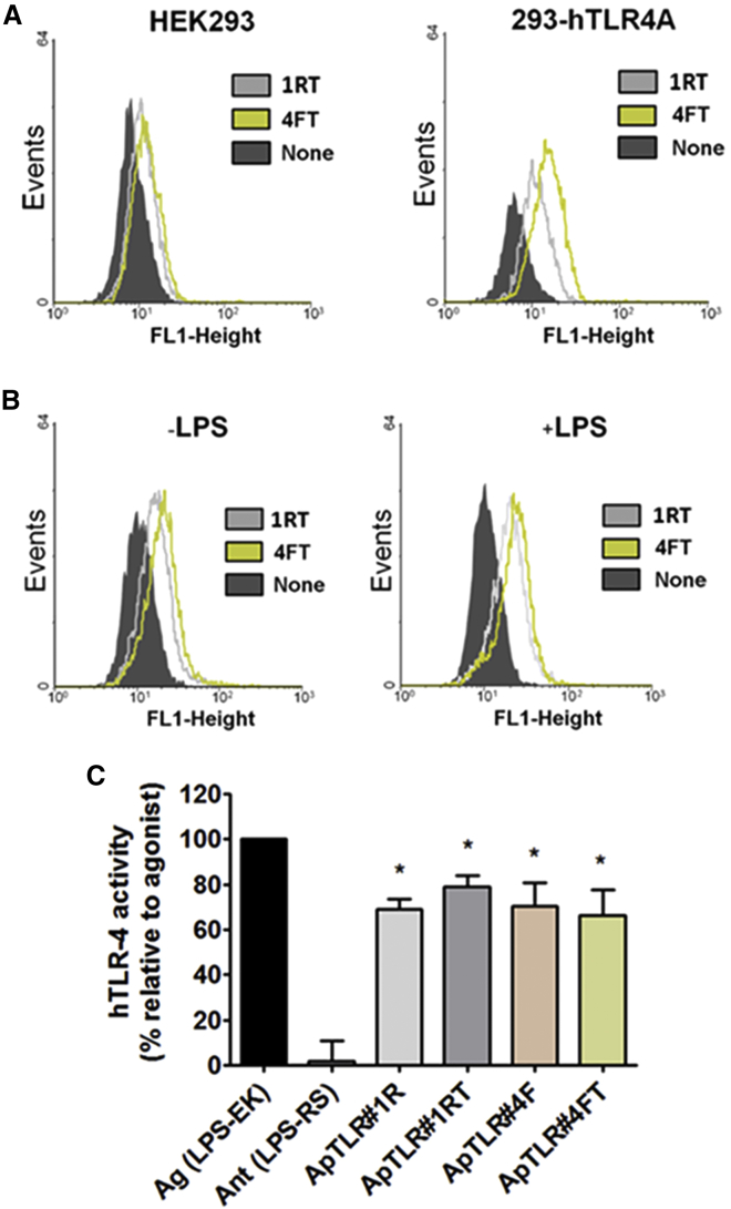 Figure 2