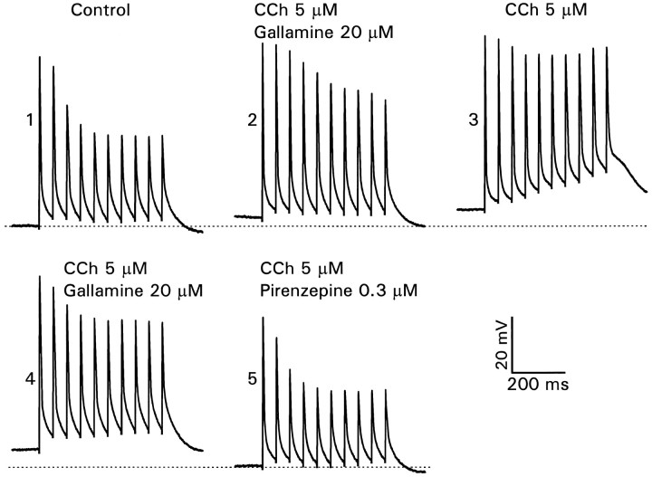 Fig. 9.