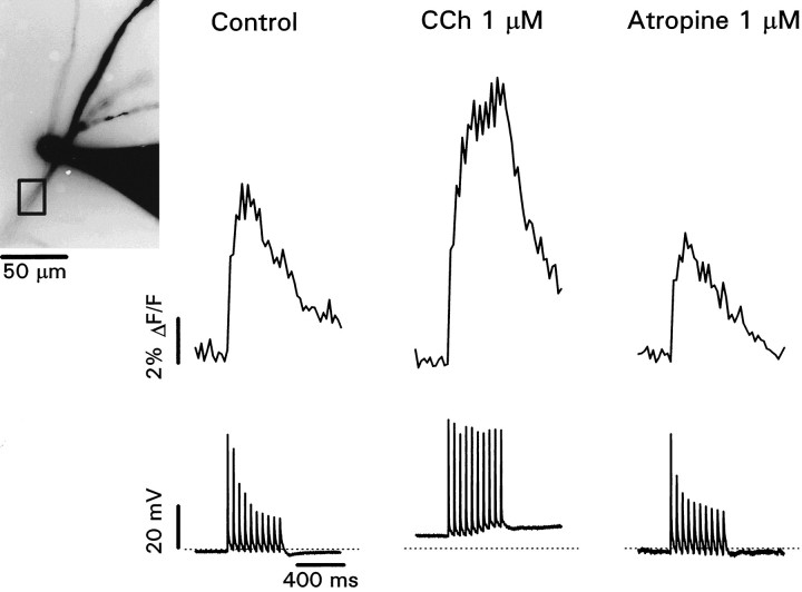 Fig. 3.