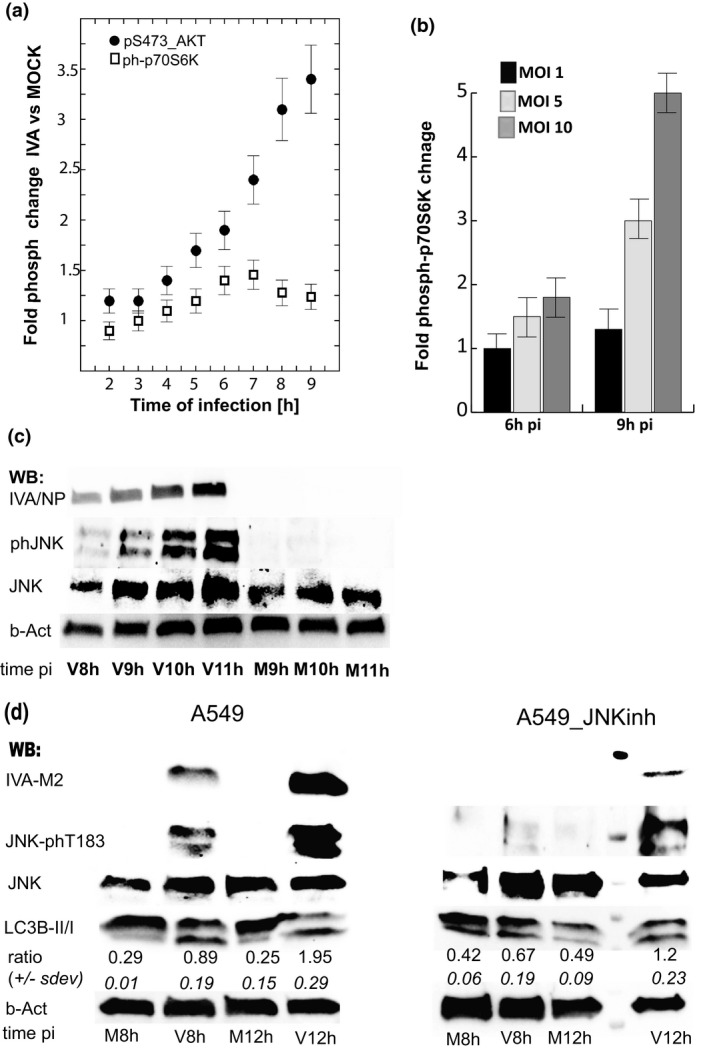 FIGURE 4