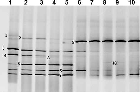 Fig. 8