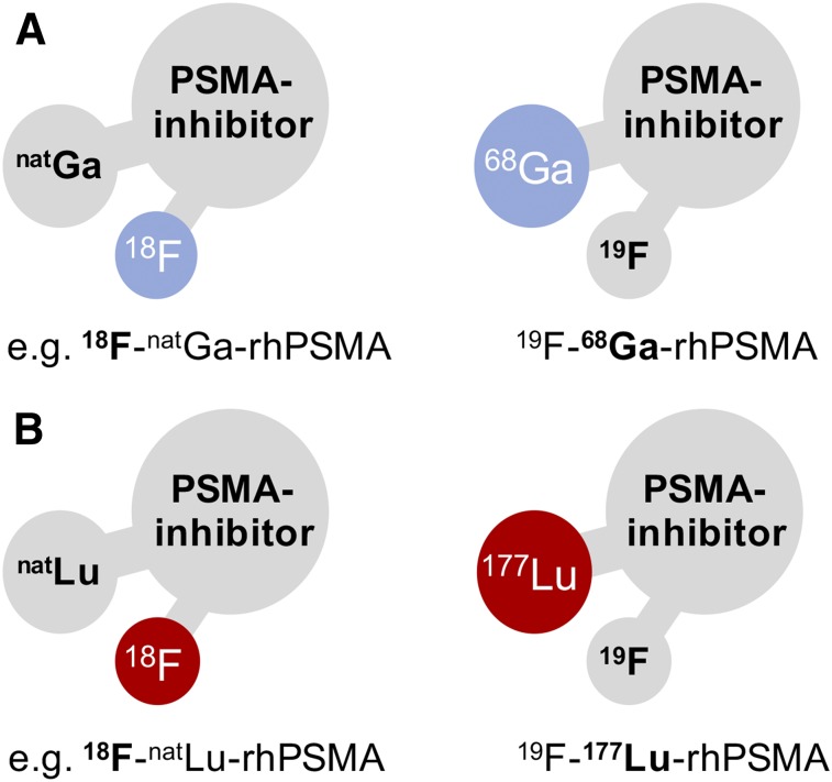 FIGURE 1.