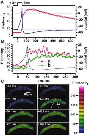 Figure 9