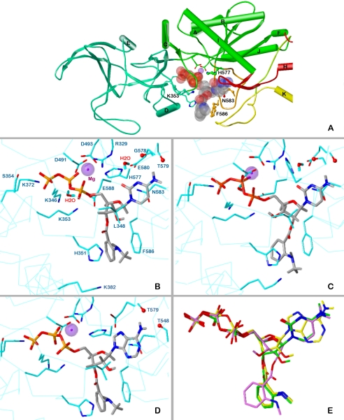 Fig. 4.