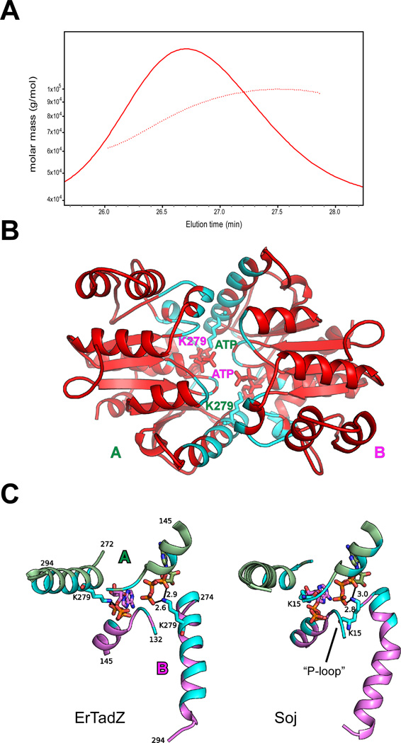 Fig. 6