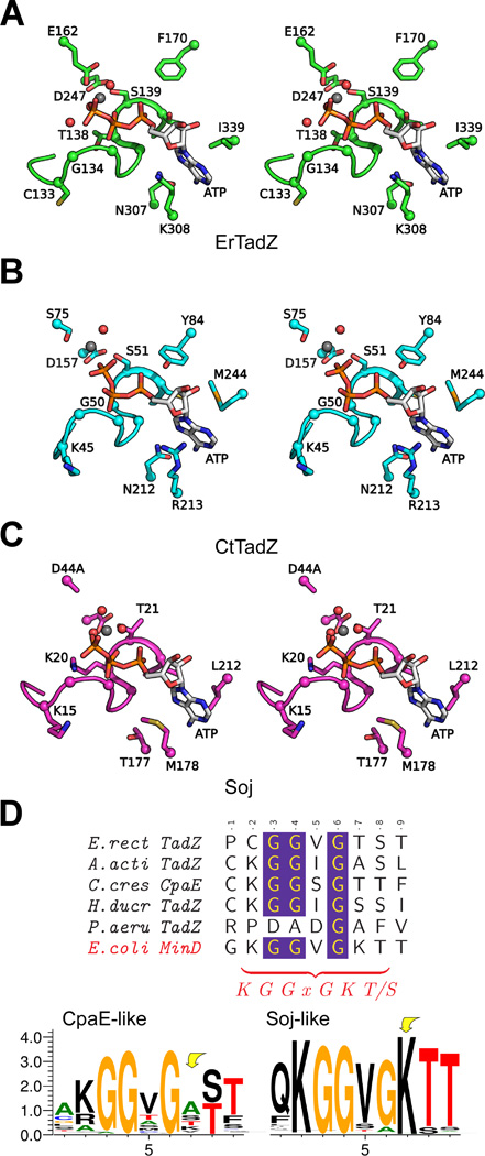 Fig. 4