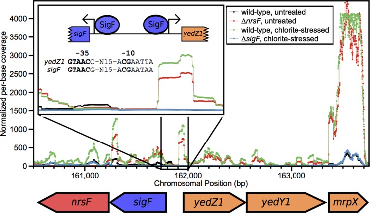 FIG 3 