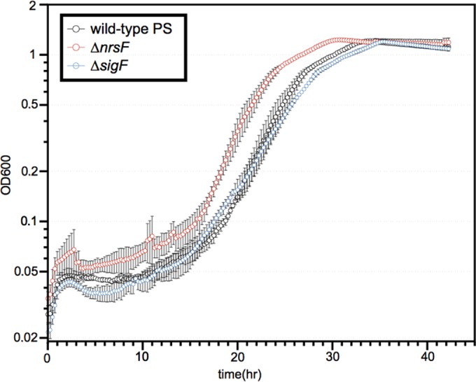 FIG 2 