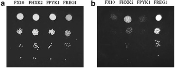 Fig. 2