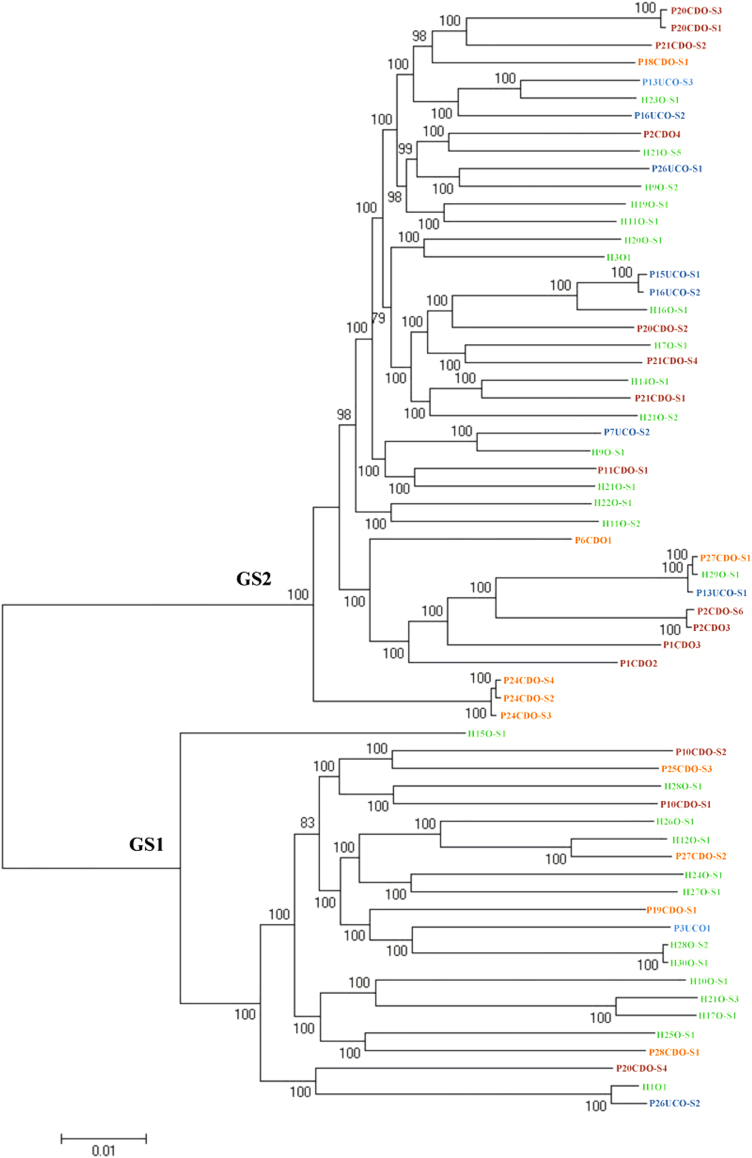 Fig. 1