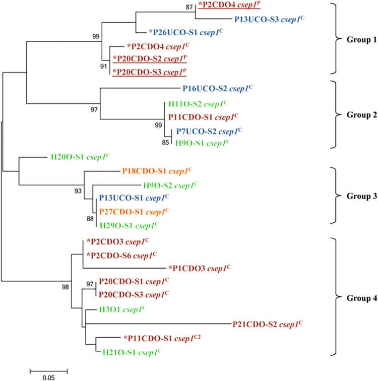 Fig. 4