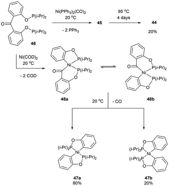 Scheme 8