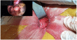 Figure 2: