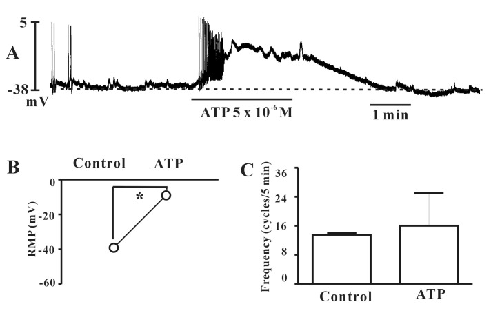 Fig. 5