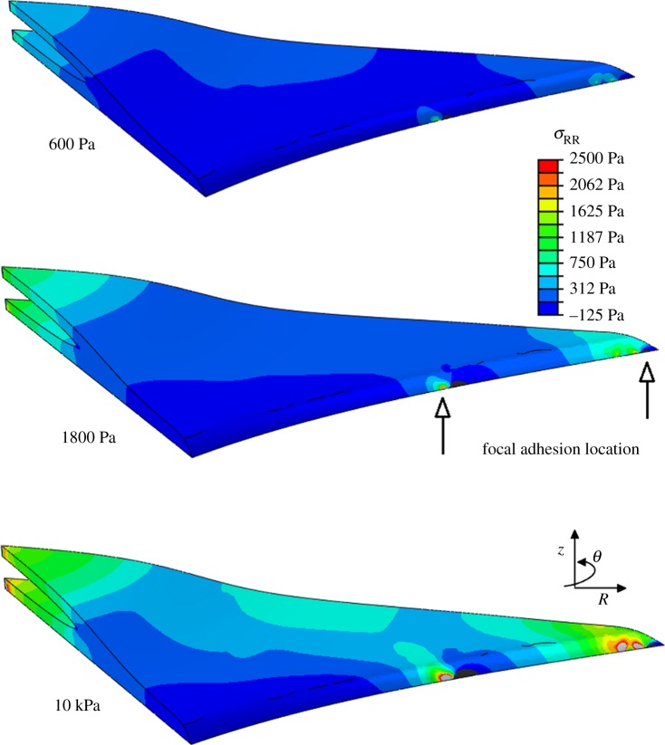 Figure 6.