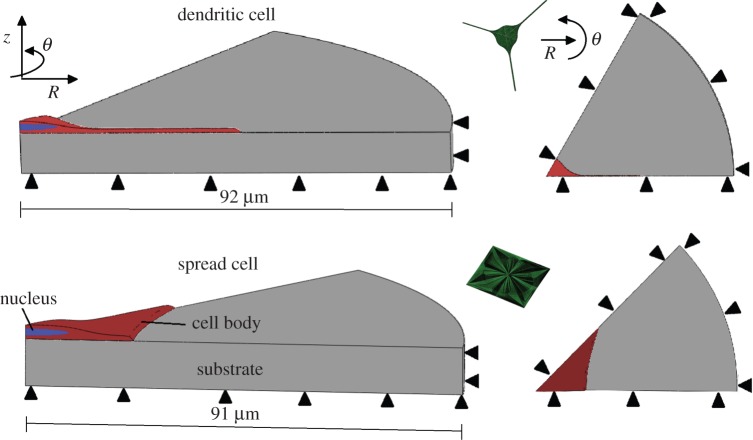 Figure 3.