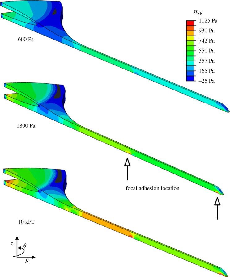 Figure 7.