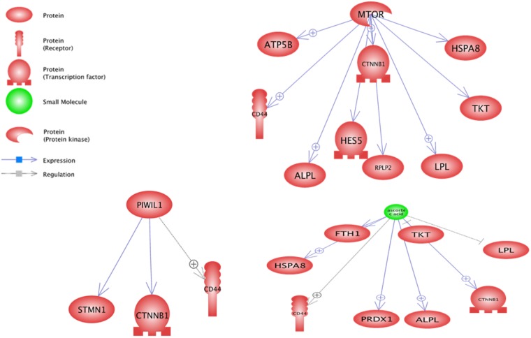 FIGURE 4