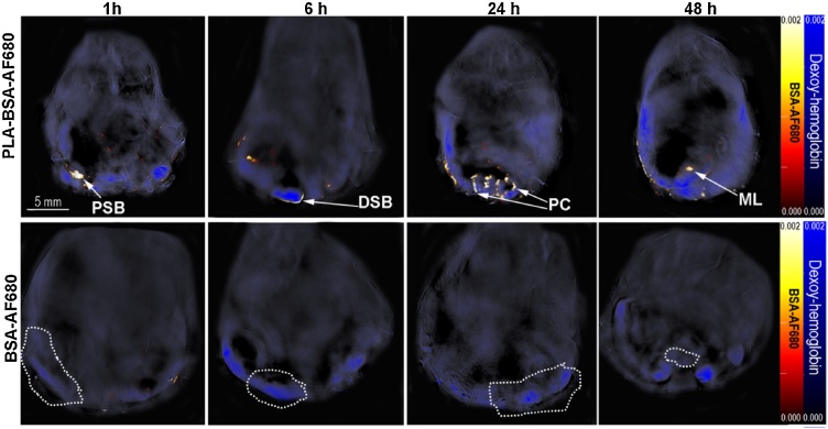 Fig. 4