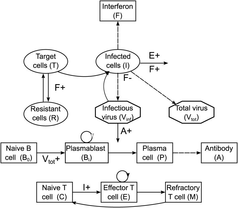 Fig 6