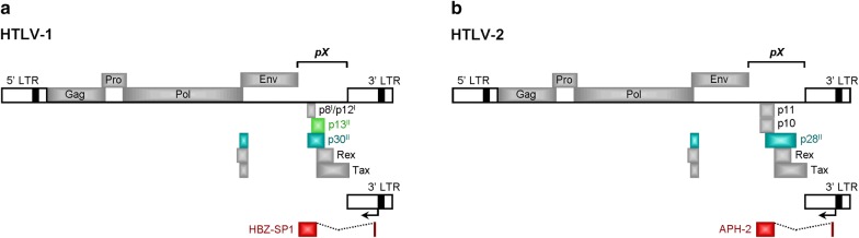 Fig. 1