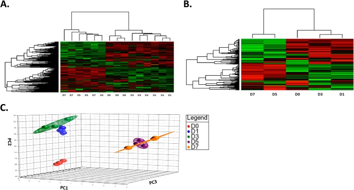 Fig. 3.