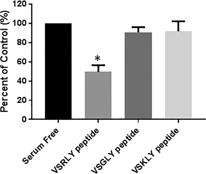 FIG 2