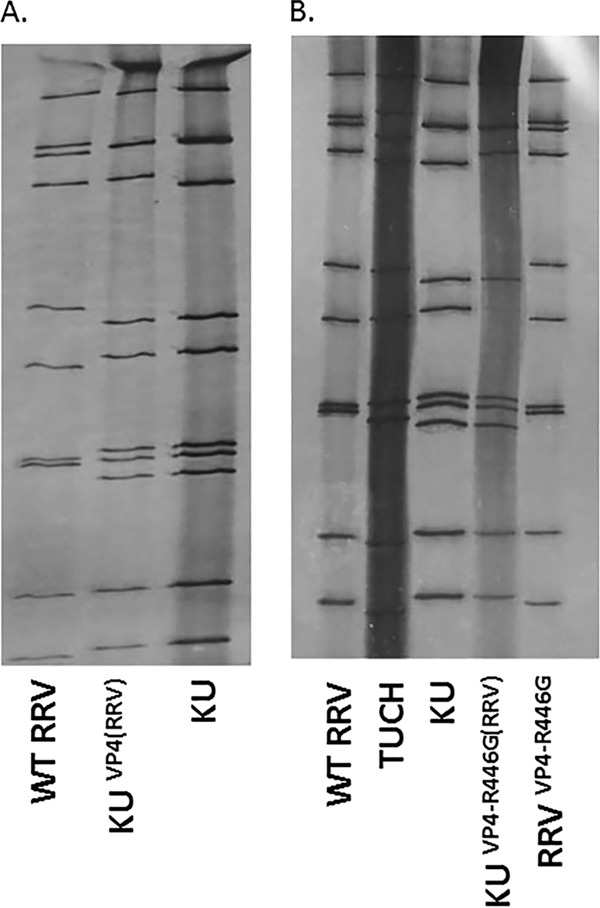 FIG 4