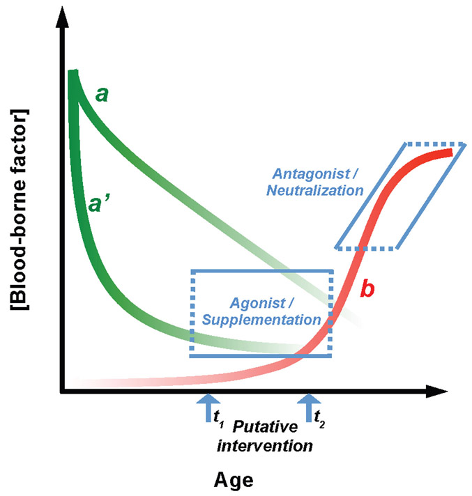 Figure 1: