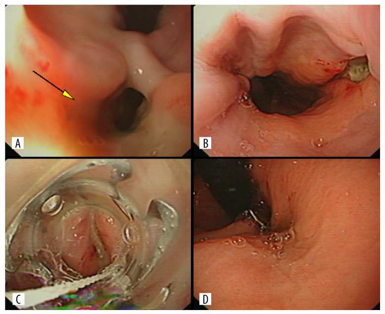 Figure 2.