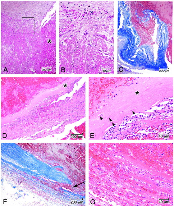 Fig 6.