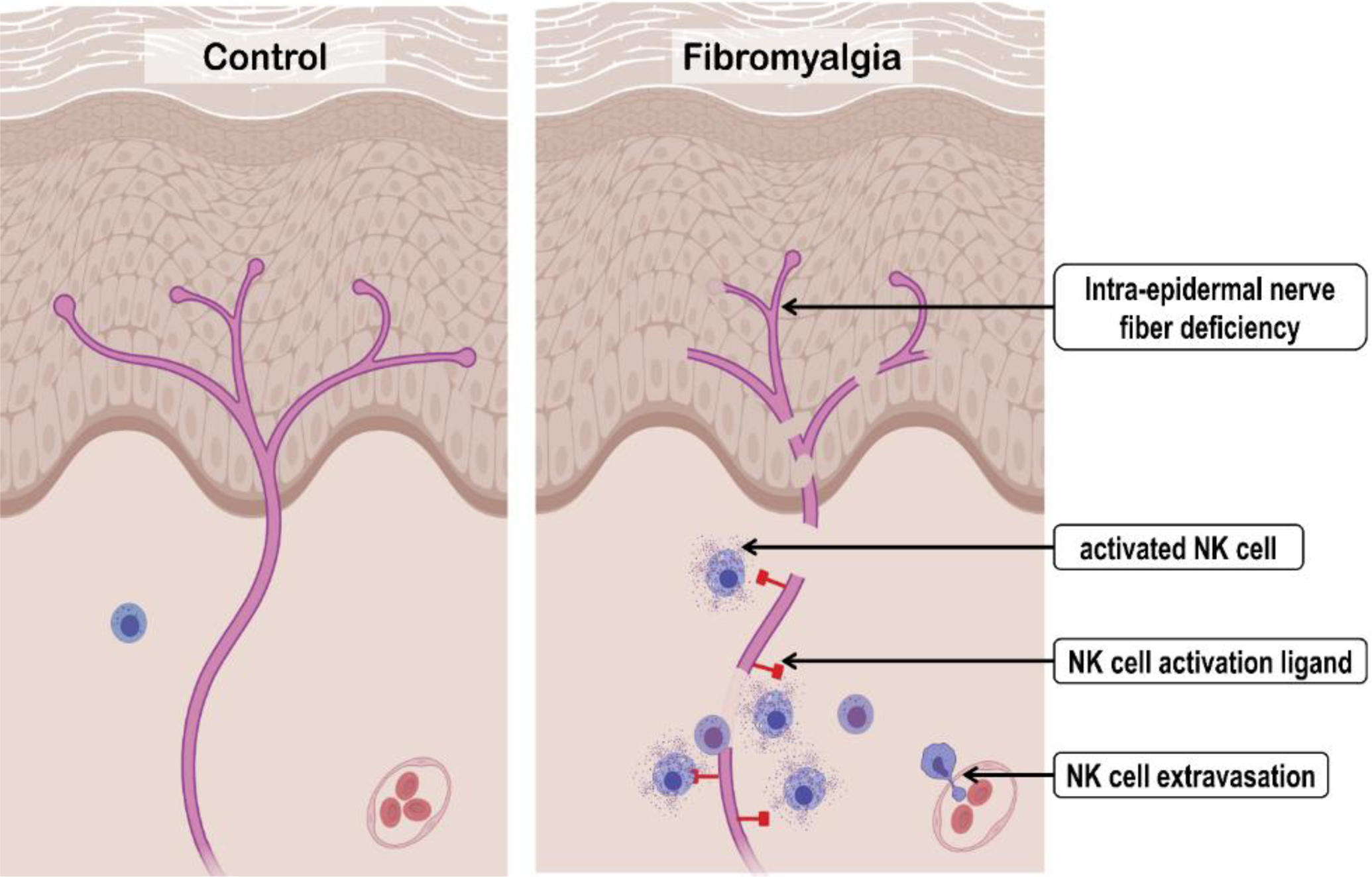 Figure 7:
