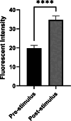 Fig. 10