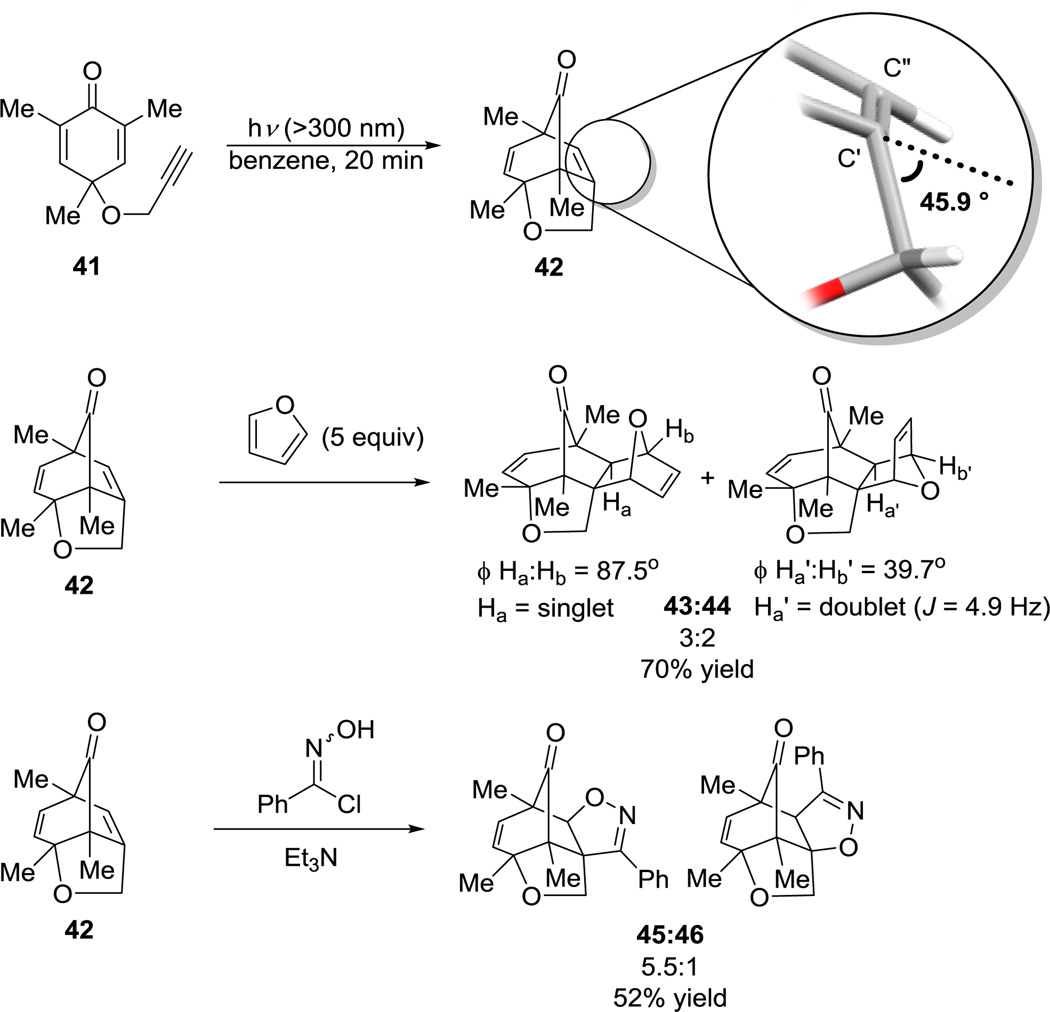 Scheme 5