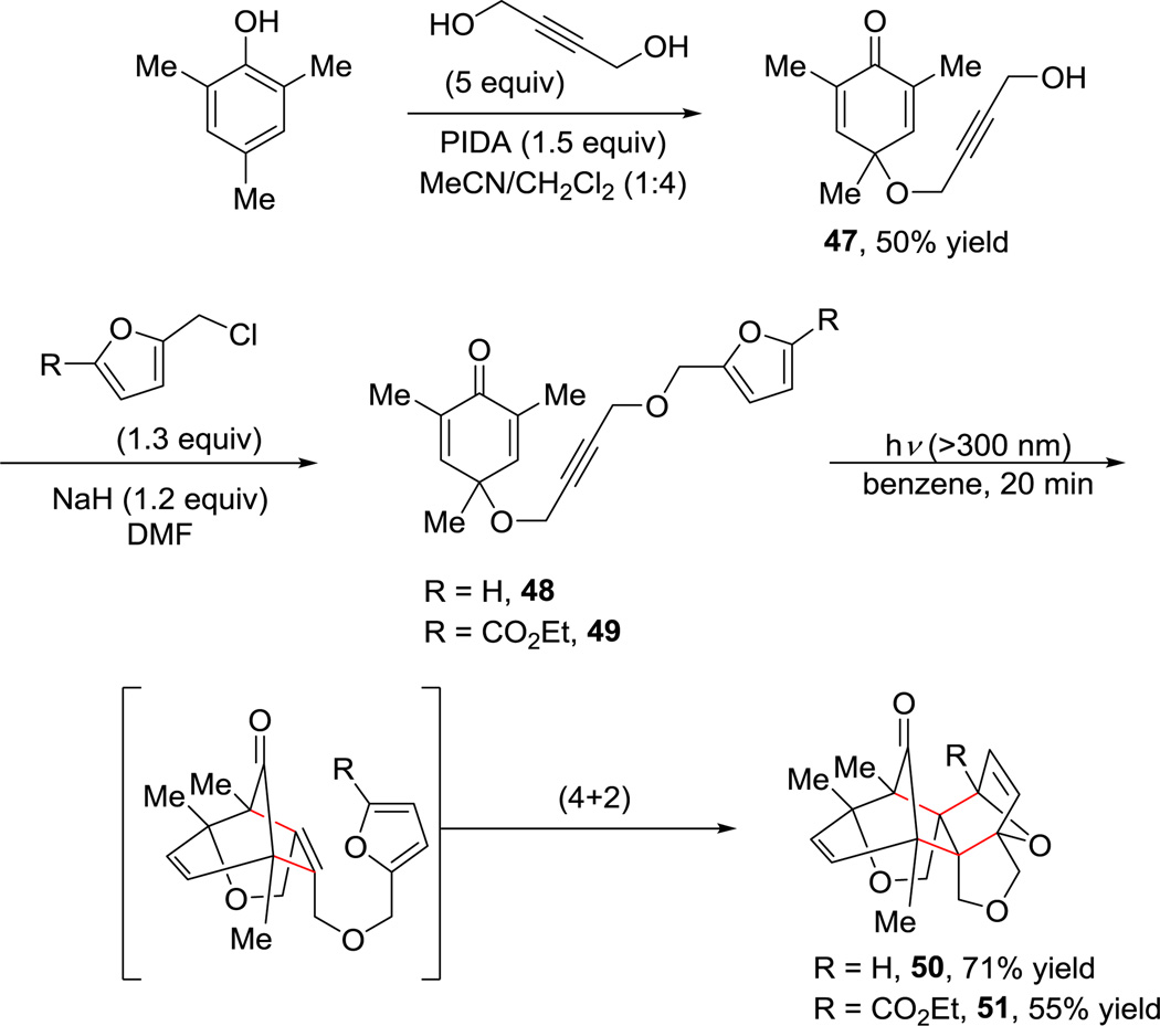 Scheme 6