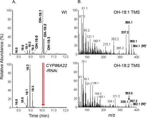 FIGURE 3.