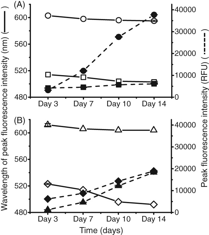 JCTB-5519-FIG-0005-b