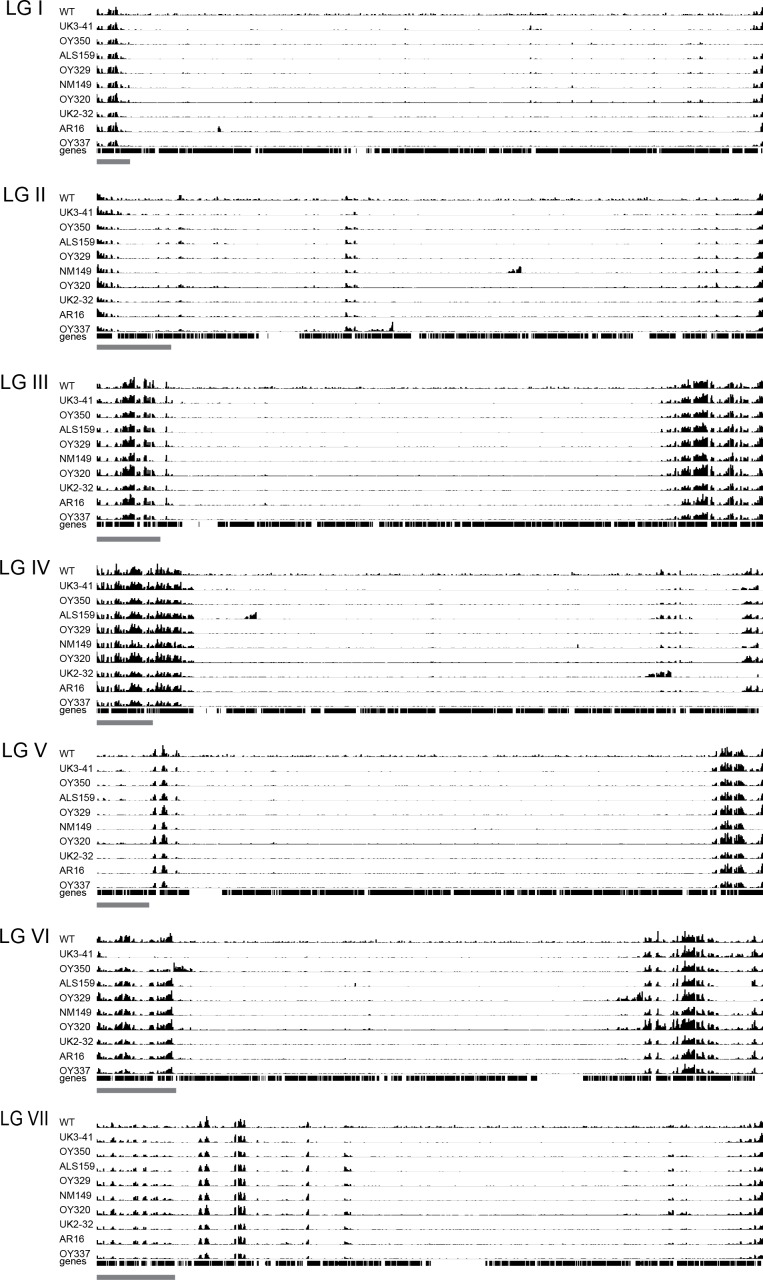 Figure 1—figure supplement 3.