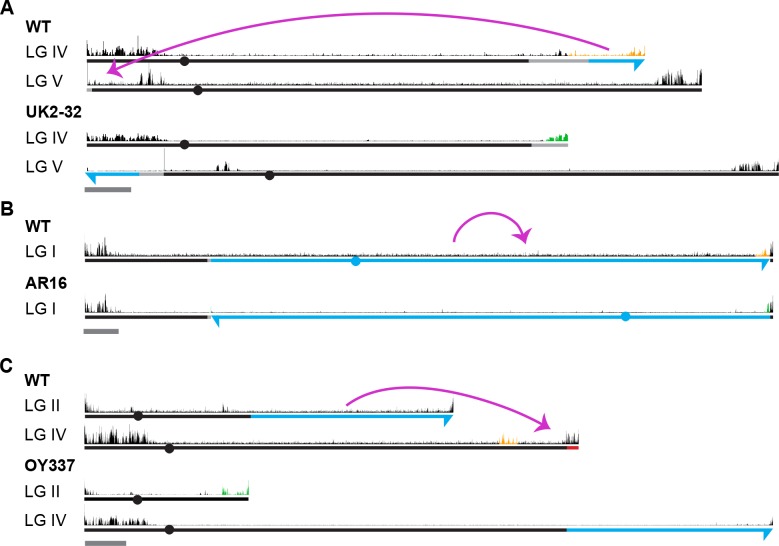 Figure 1—figure supplement 2.