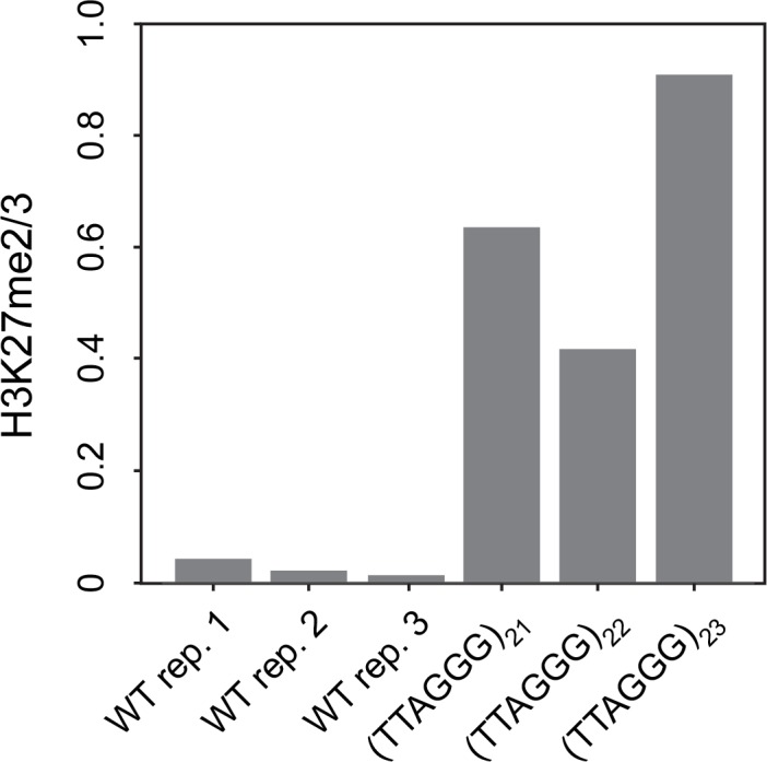 Figure 5—figure supplement 1.