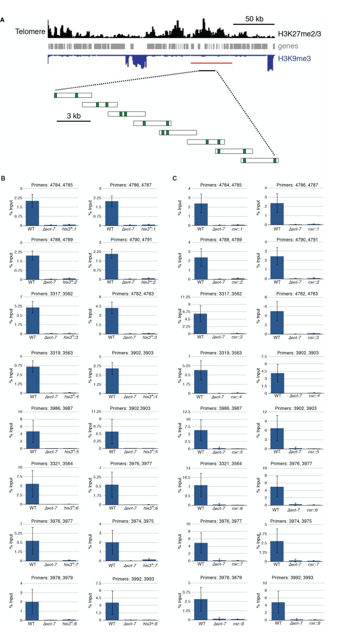 Figure 1—figure supplement 1.