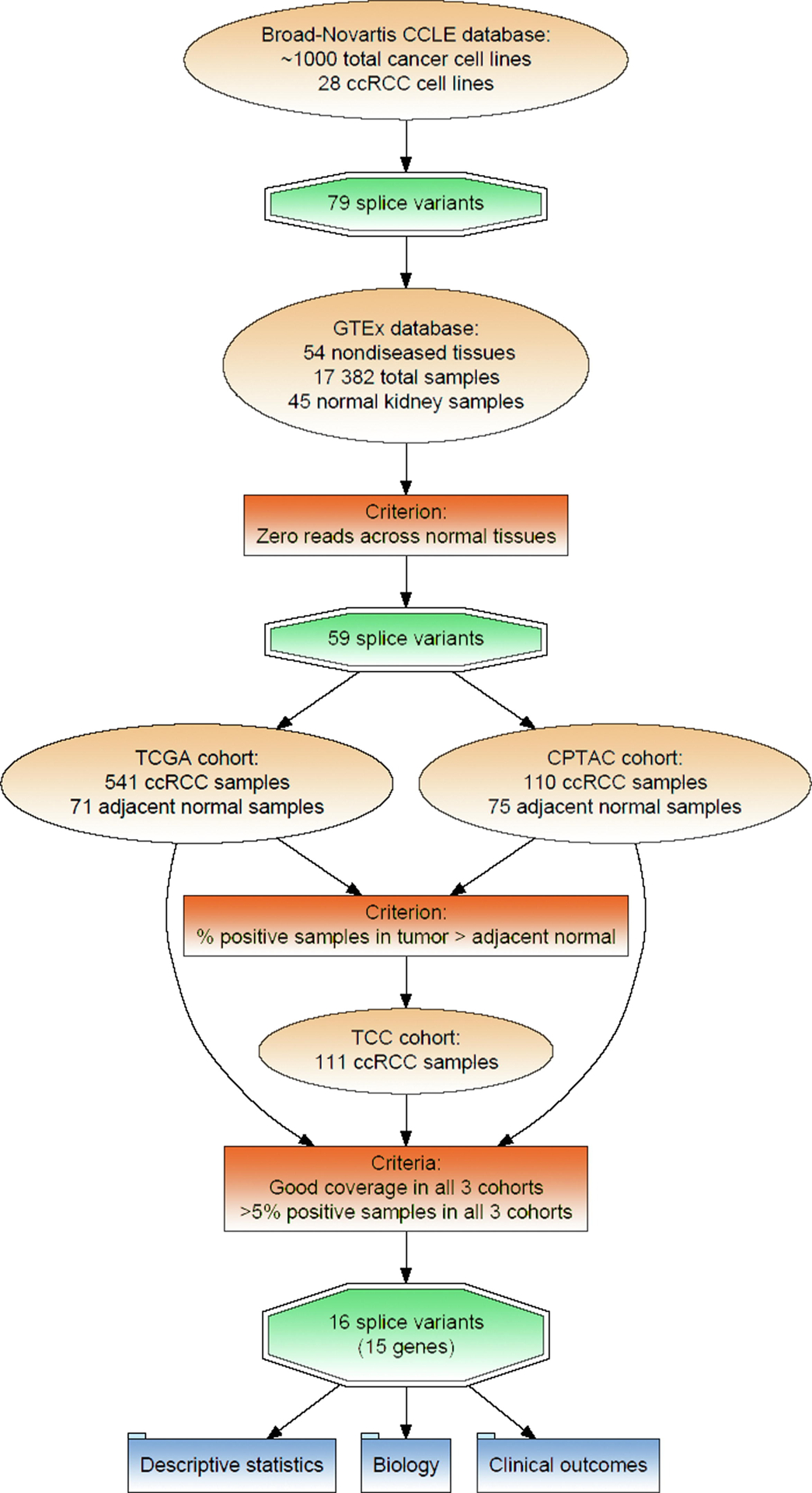 Fig. 1 –