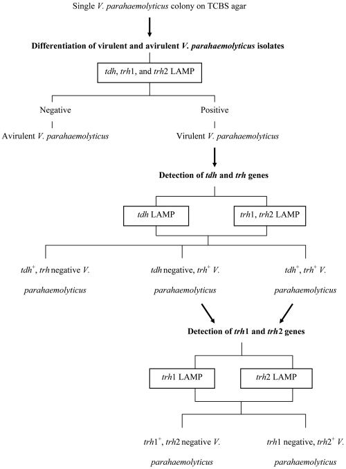 FIG. 3.