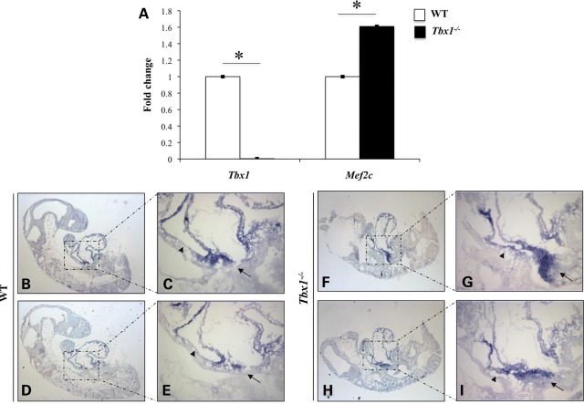 Figure 2.