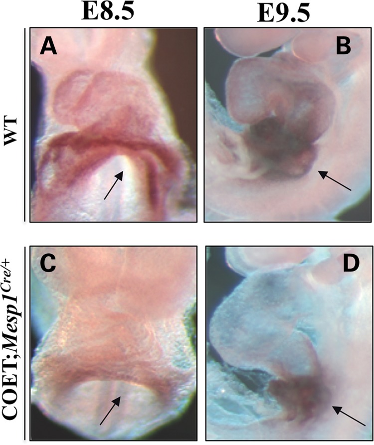 Figure 6.