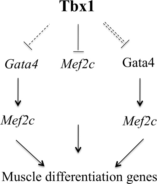 Figure 10.