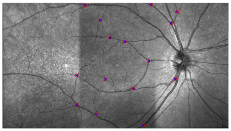 Fig. 3